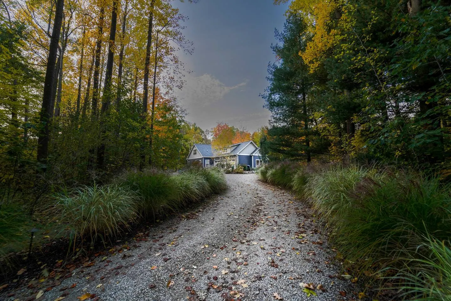 Tree-lined drive glowing with yellow and orange leaves