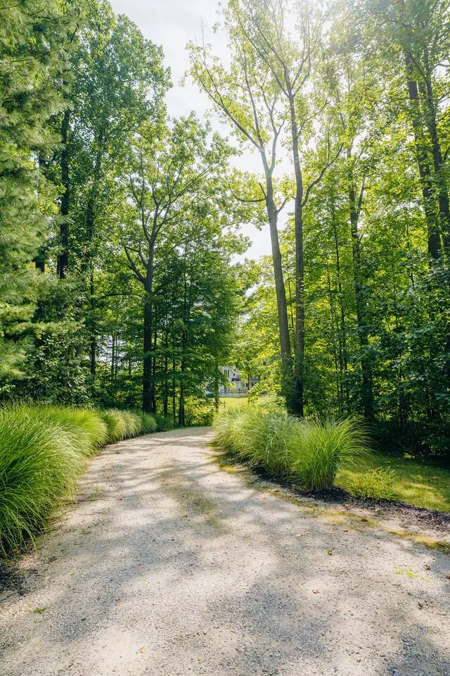 A quiet wooded path near the property in late summer